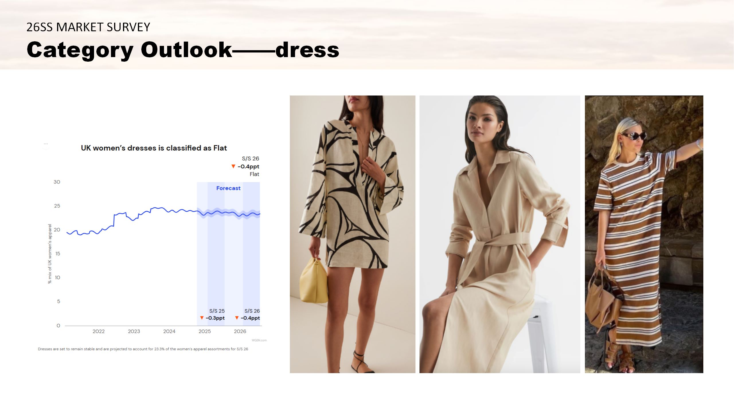 26SS MARKET SURVEY FOR LADIES 14